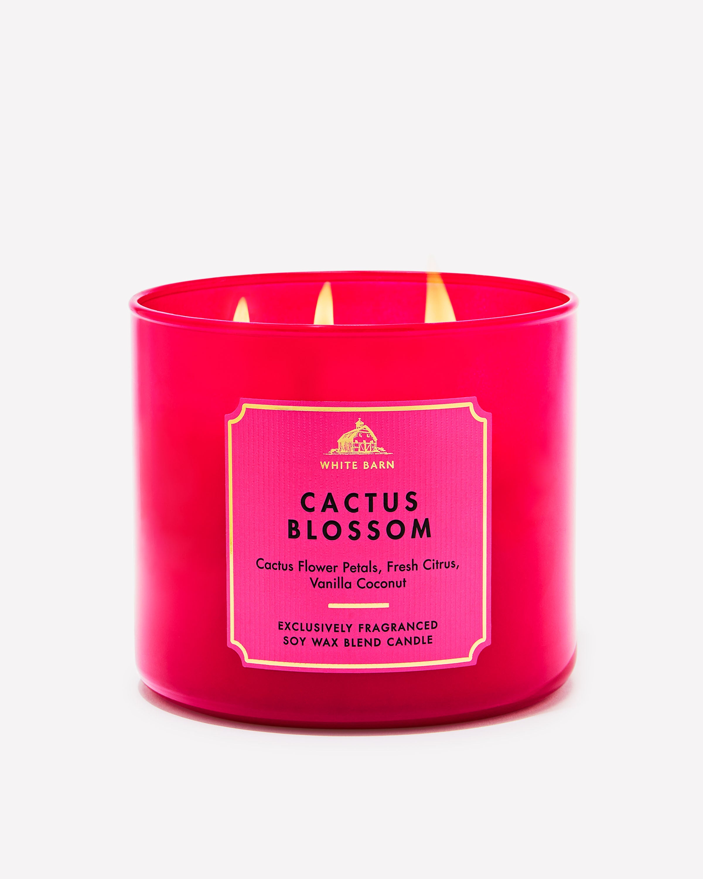 Cactus Blossom